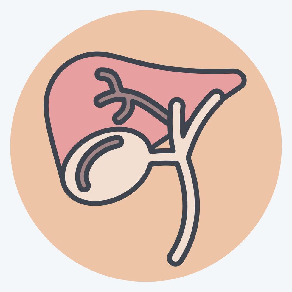 Icon Gallbladder. related to Human Organ symbol. color mate style. simple design editable. simple illustration vector