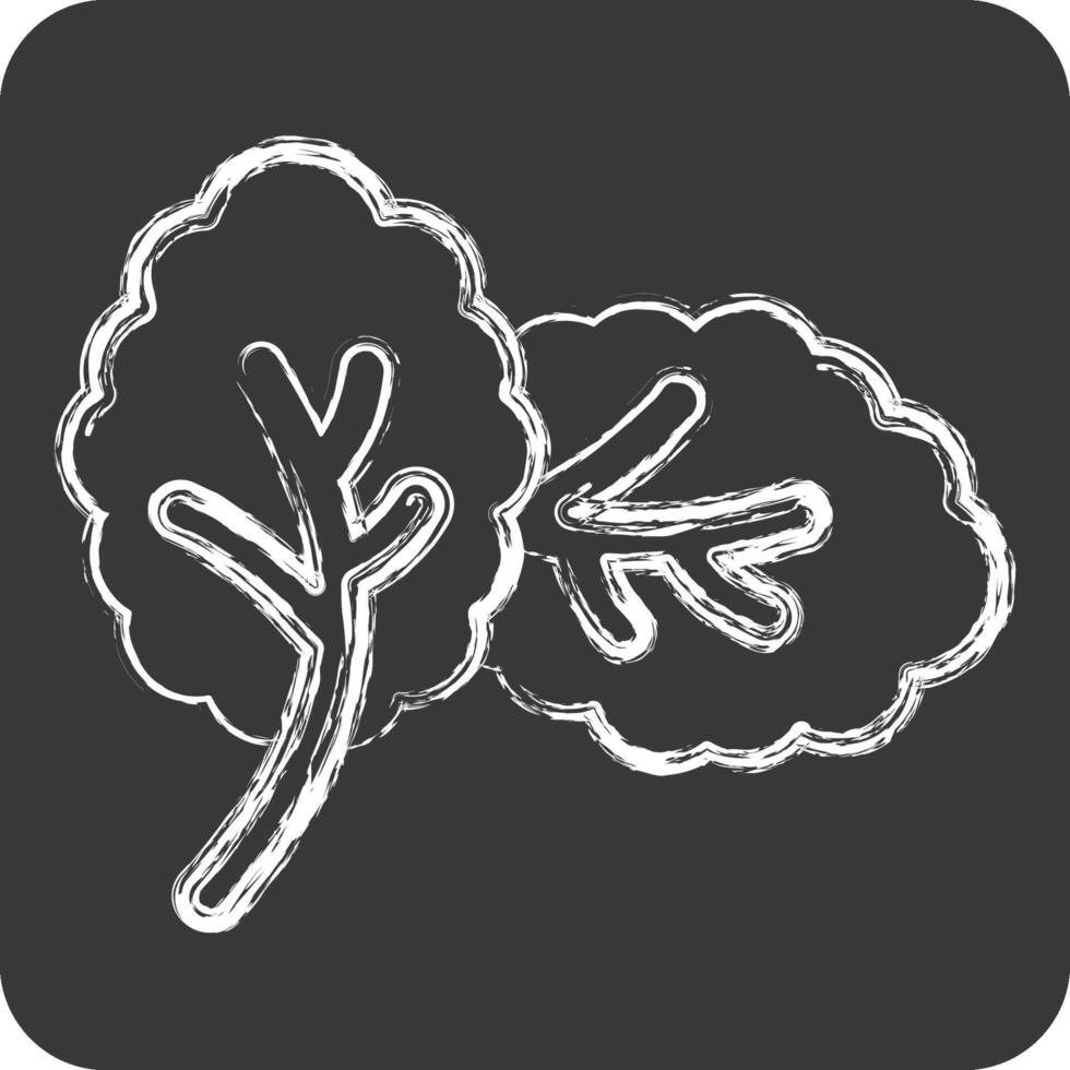 Icon Mint. related to Spice symbol. chalk Style. simple design editable. simple illustration vector