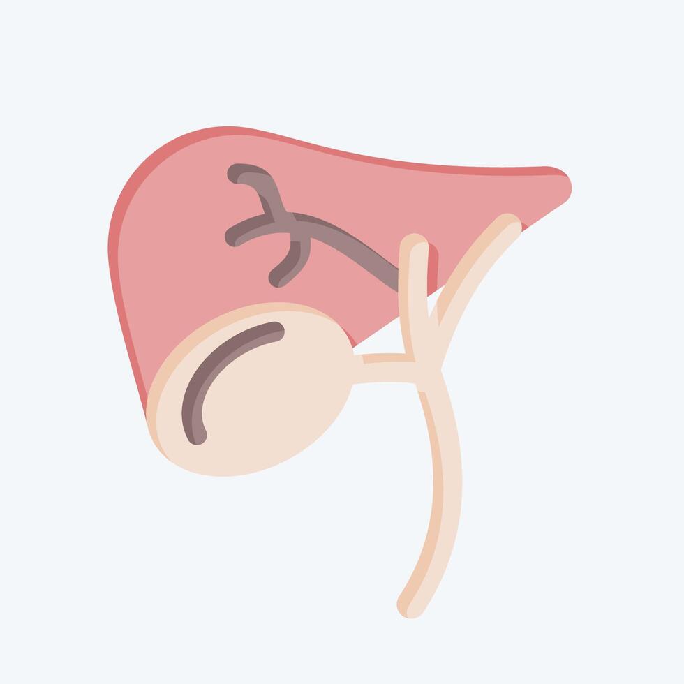 Icon Gallbladder. related to Human Organ symbol. flat style. simple design editable. simple illustration vector