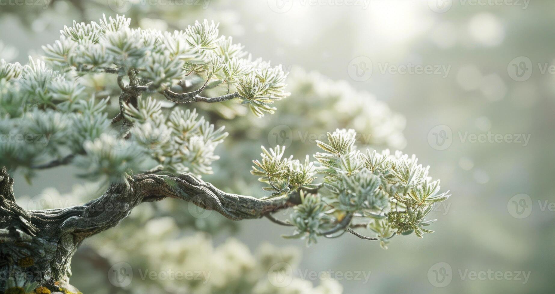 AI generated Serene bonsai with lush green foliage. photo