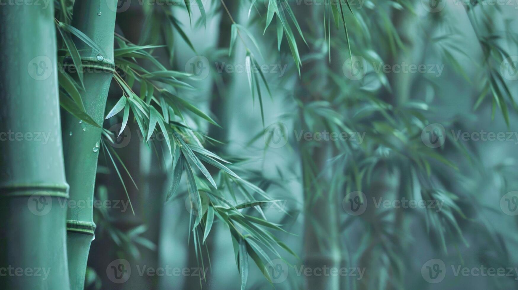 AI generated Bamboo with droplets. photo