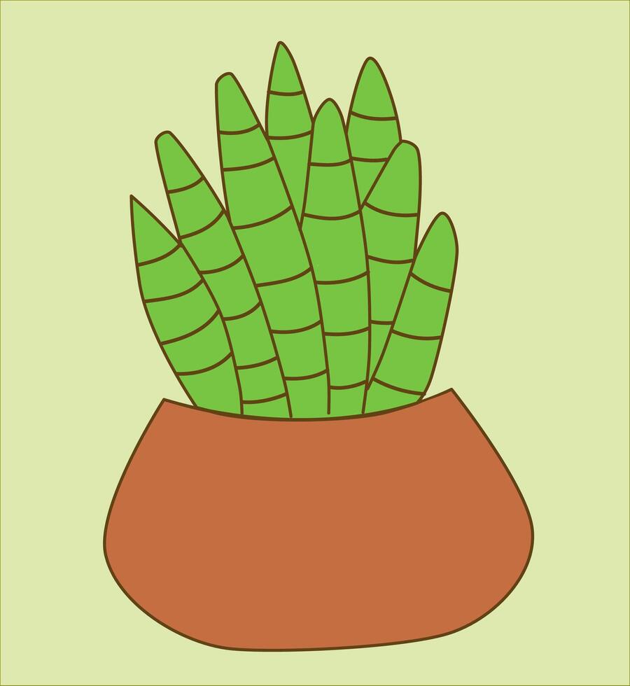 succulent house plant vector