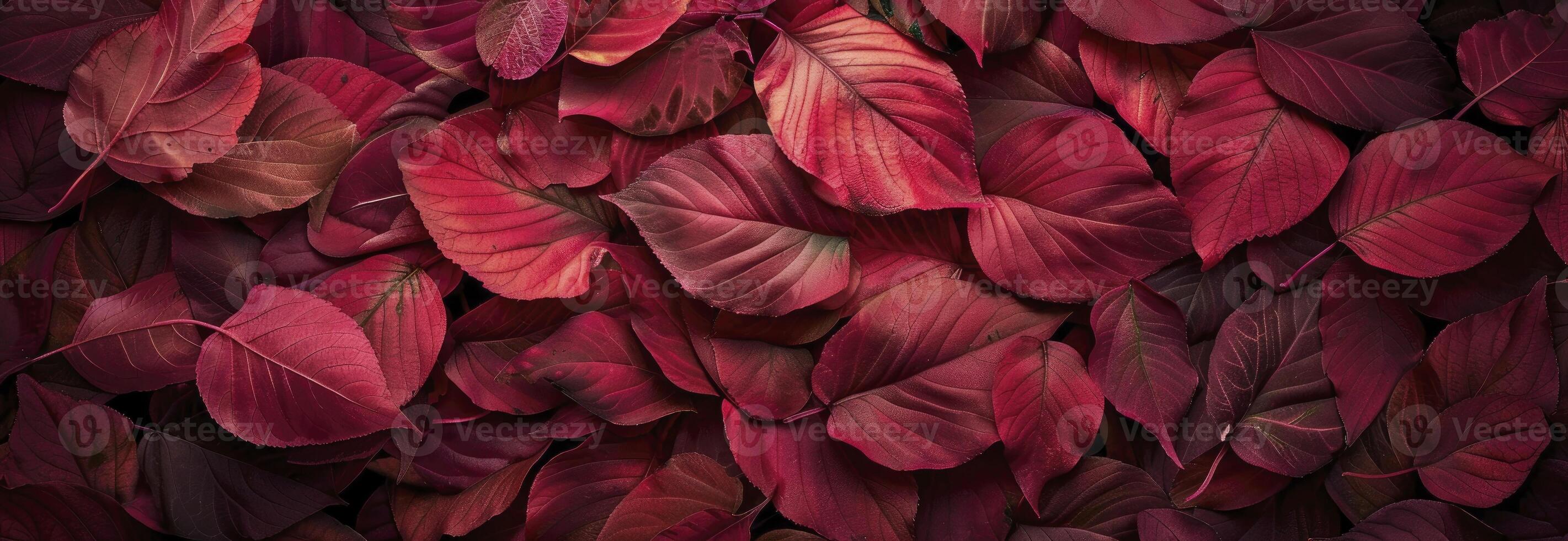 AI generated Red autumn leaves texture background photo
