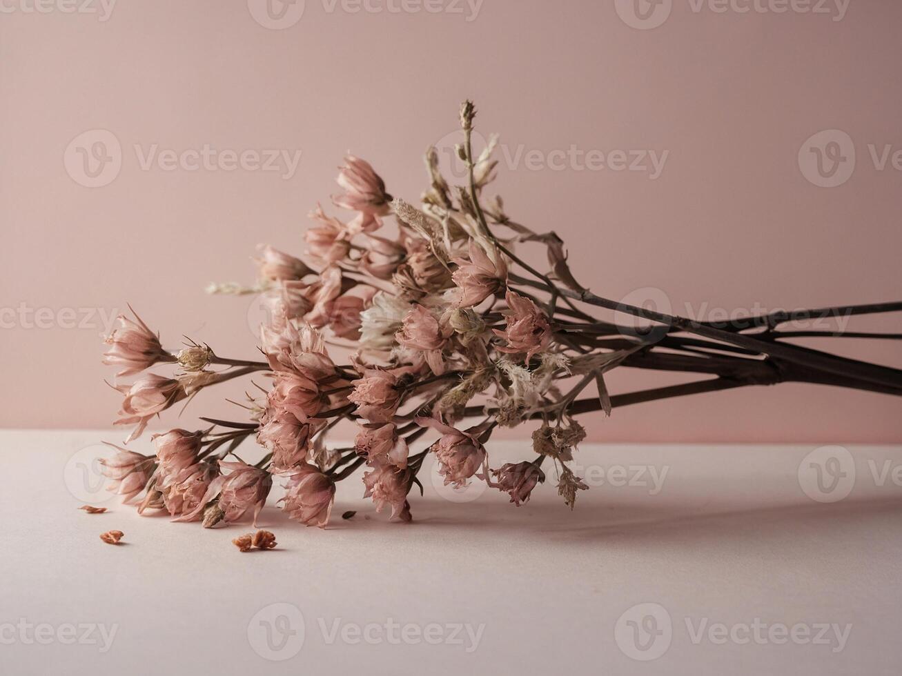 Dried Bloom Flower photo