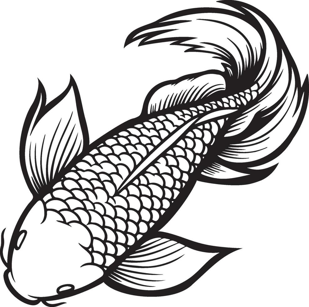 Koi Fish Sketch Drawing. vector