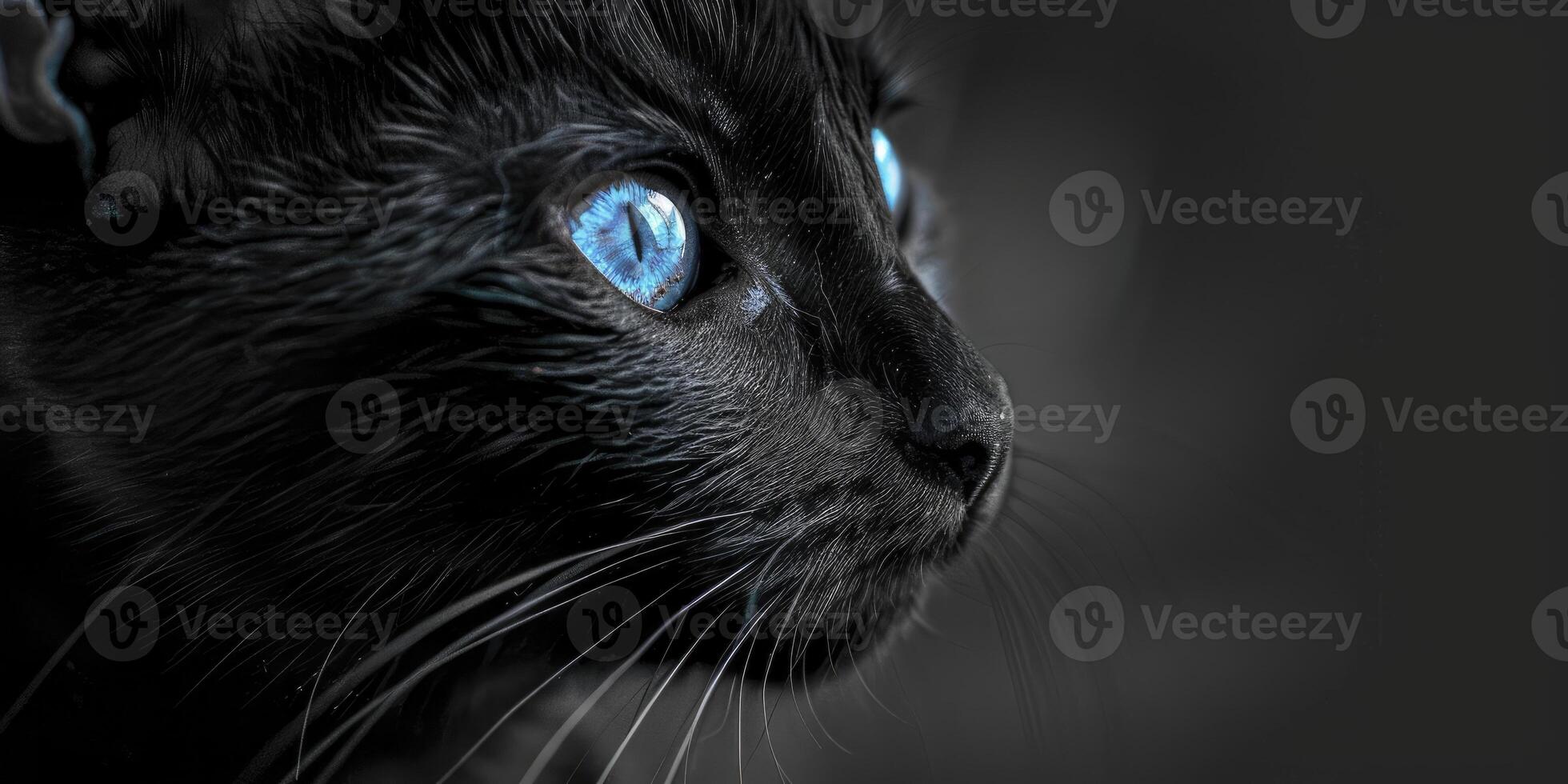 ai generado enigmático elegancia. un negro gato con perforación azul morado ojos, iluminado en un negro y blanco atmósfera, radiante misterio y gracia. foto