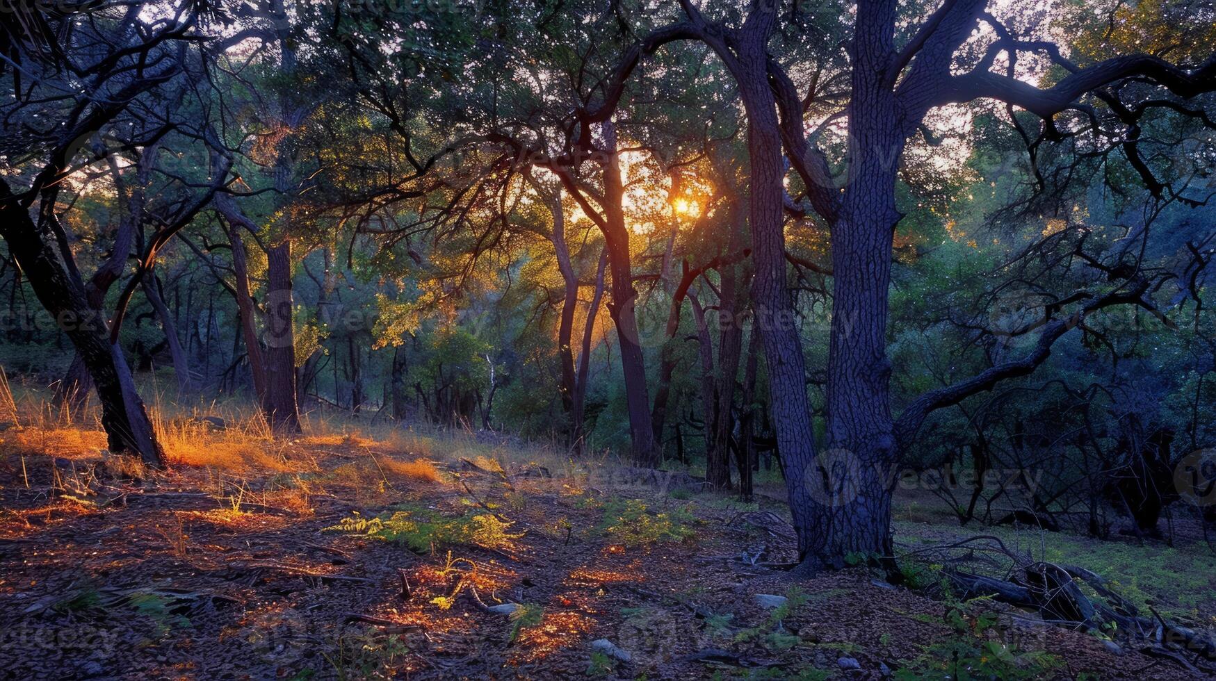 AI generated Sunset in forest. Nature background photo