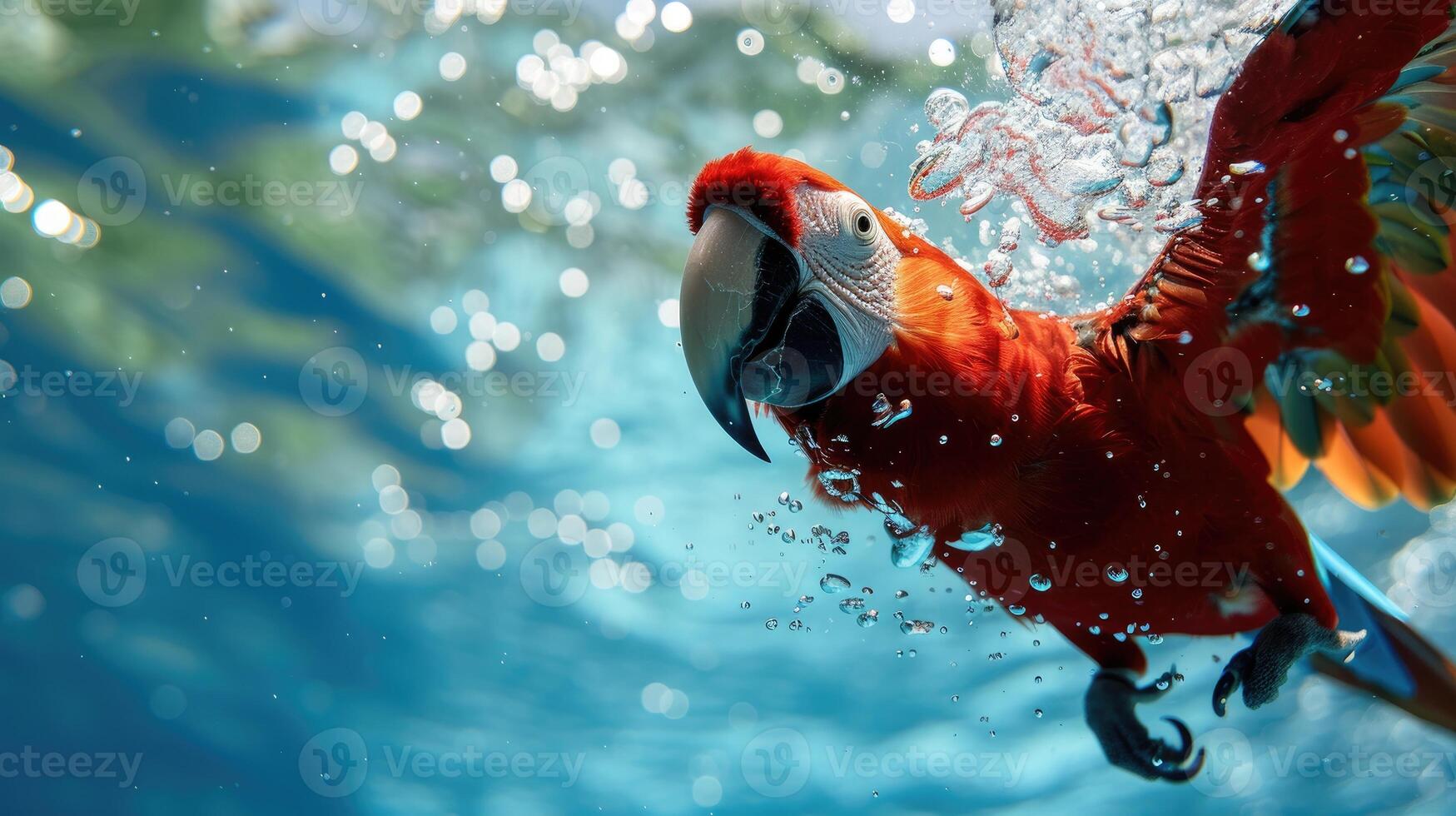 AI generated Hilarious underwater scene parrot in pool plays deep dive action, Ai Generated. photo