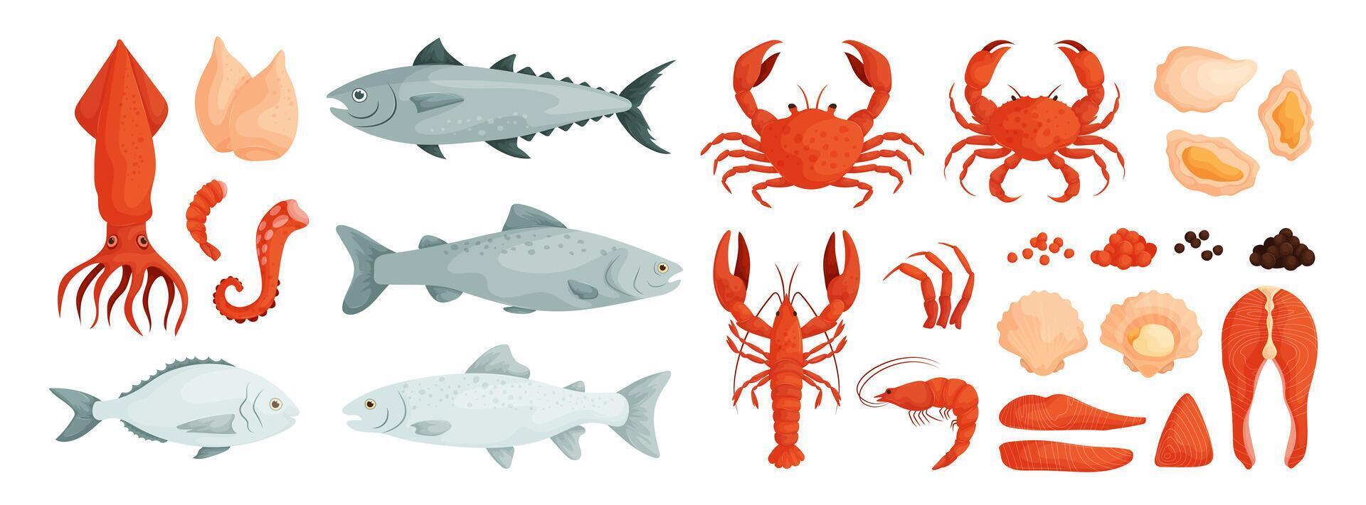 Seafood . Vector of mussels, clam, oyster. Fish salmon, trout, tuna, dorado. Shrimp, squid, octopus tentacles, lobster, crab and crayfish. Red and black caviar. Steaks and pieces of fish.