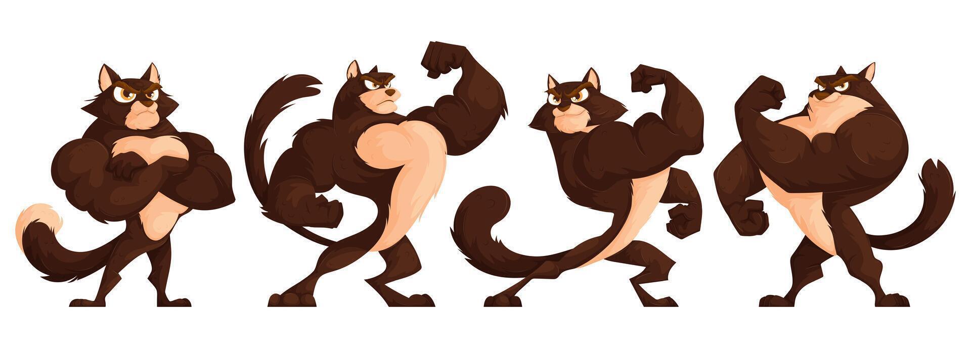 conjunto de cuatro fuerte y muscular gatos posando un brutal marrón gato con un atlético figura en un fisicoculturistas traje demuestra su músculos. dibujos animados vector. vector