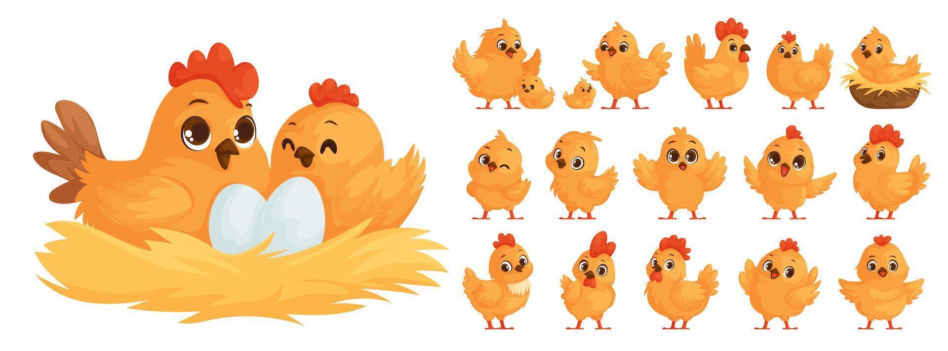 Large set of chicken family in cartoon style. Yellow chickens, Hen hatches eggs. Mother hen and chicks. Big and small roosters. Chicken and rooster in the nest. vector