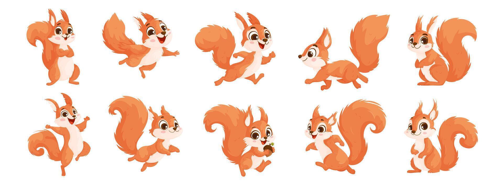 Collection of funny little brown squirrels. Animal emotion. Set of cute cartoon squirrels. Animal cartoon character design. Flat illustration isolated on white background. vector