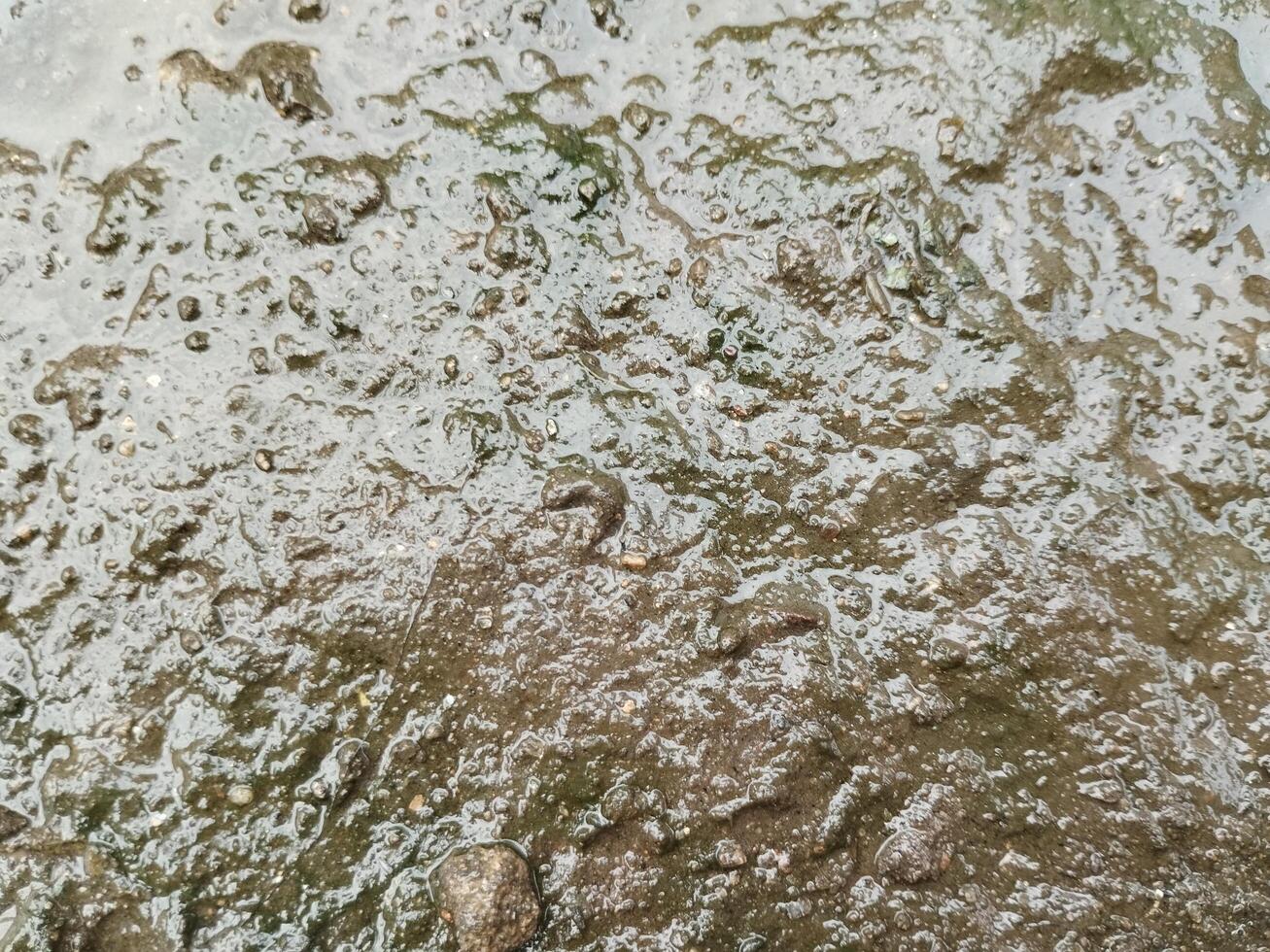 Cracked soil, Drought soil, Wet soil and mud texture, Wet land. photo