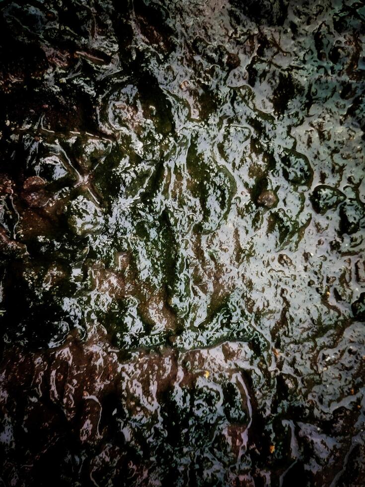 The cracked ground, Ground in drought, Soil texture and dry mud, Dry land. photo