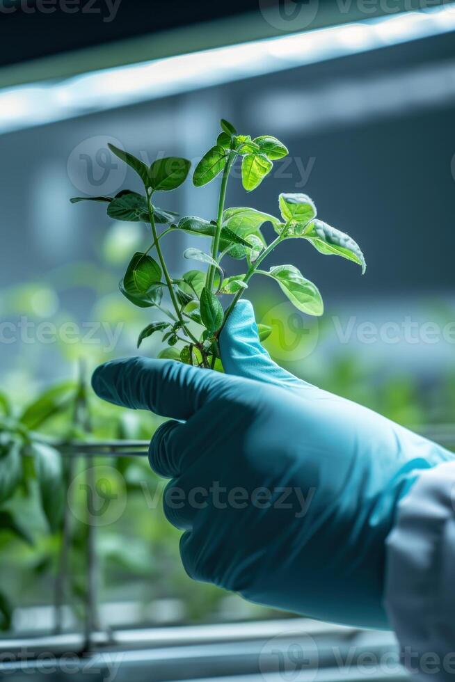 AI generated Biotechnological research of plants for agriculture laboratory photo