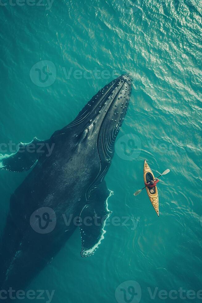 ai generado un hombre en un kayac nada siguiente a un grande ballena. parte superior ver foto