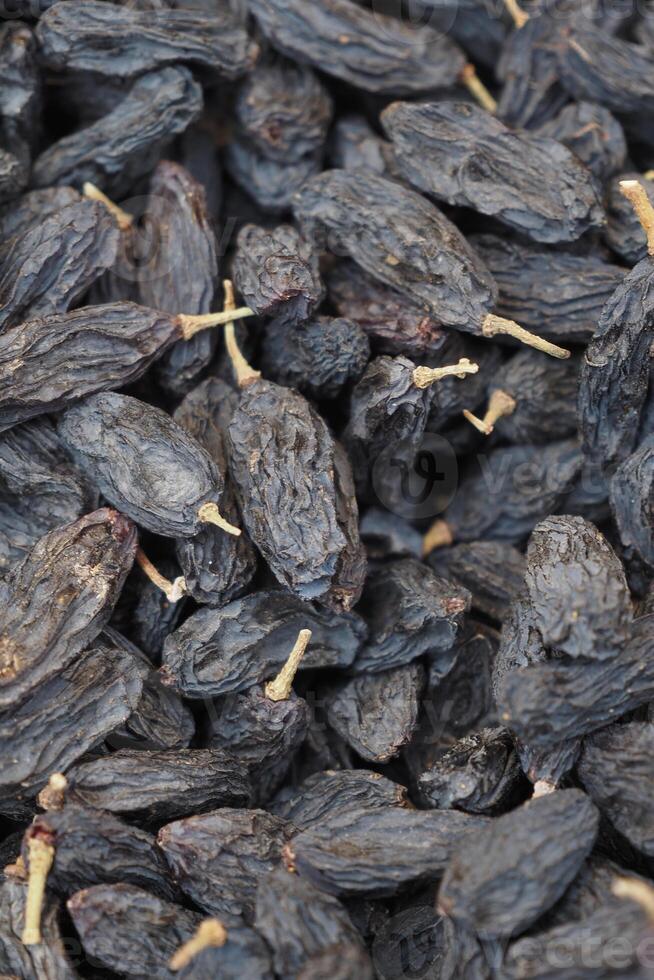 black raisin on white background, close up, photo