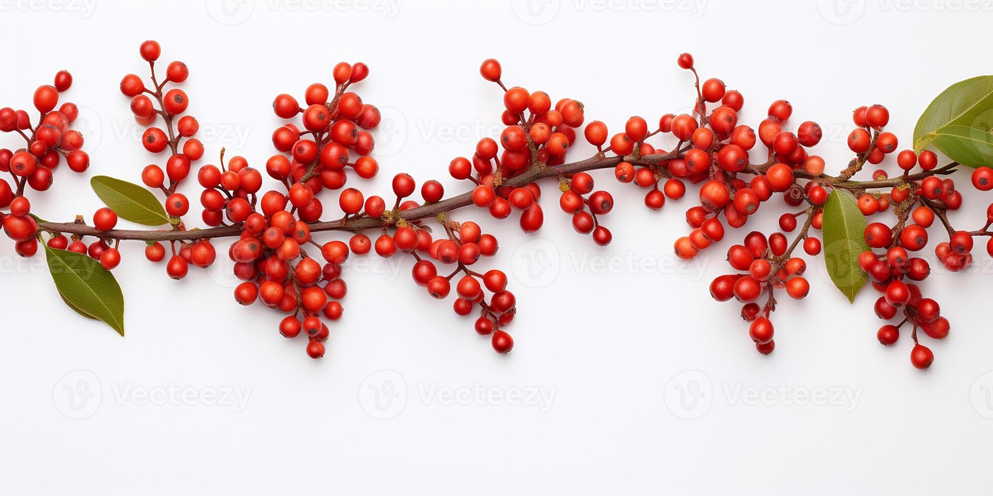 AI generated Red barberry branches isolated on a white background. Ripe fresh berries. Barberry sprigs. photo