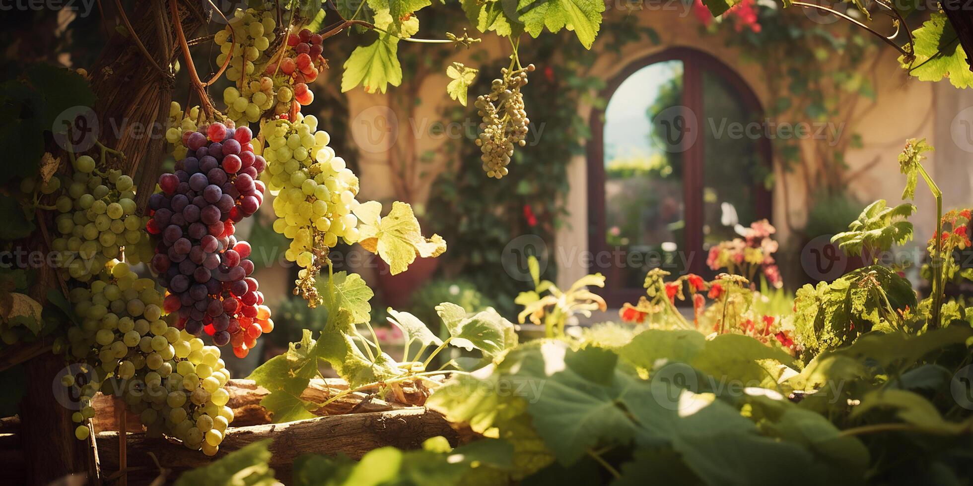 AI generated juicy, ripe grapes, soft light. there is a garden in the background. harvest time photo