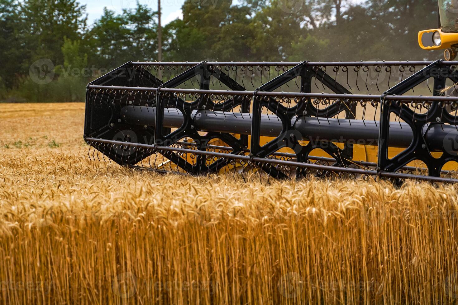 Big combine harvesting the wheat. Yellow wheat harvester in the field. photo