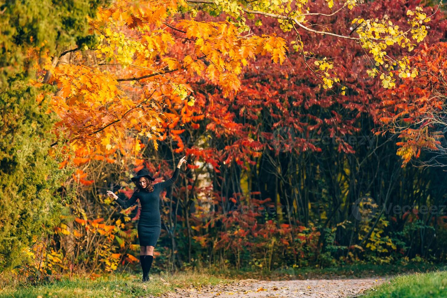 hermosa mujer en un oscuro vestir soportes en un parque en el antecedentes de amarillentas arboles otoño antecedentes. foto