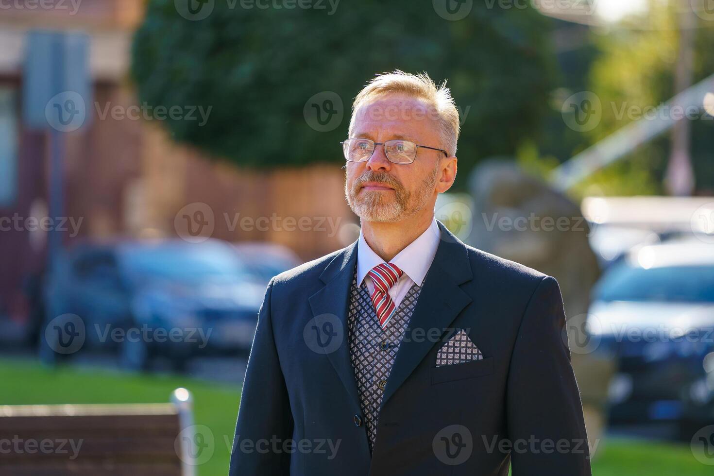 Stylish and fashion bearded man in suit and tie. Business style. Fashionable image. Office business worker. photo