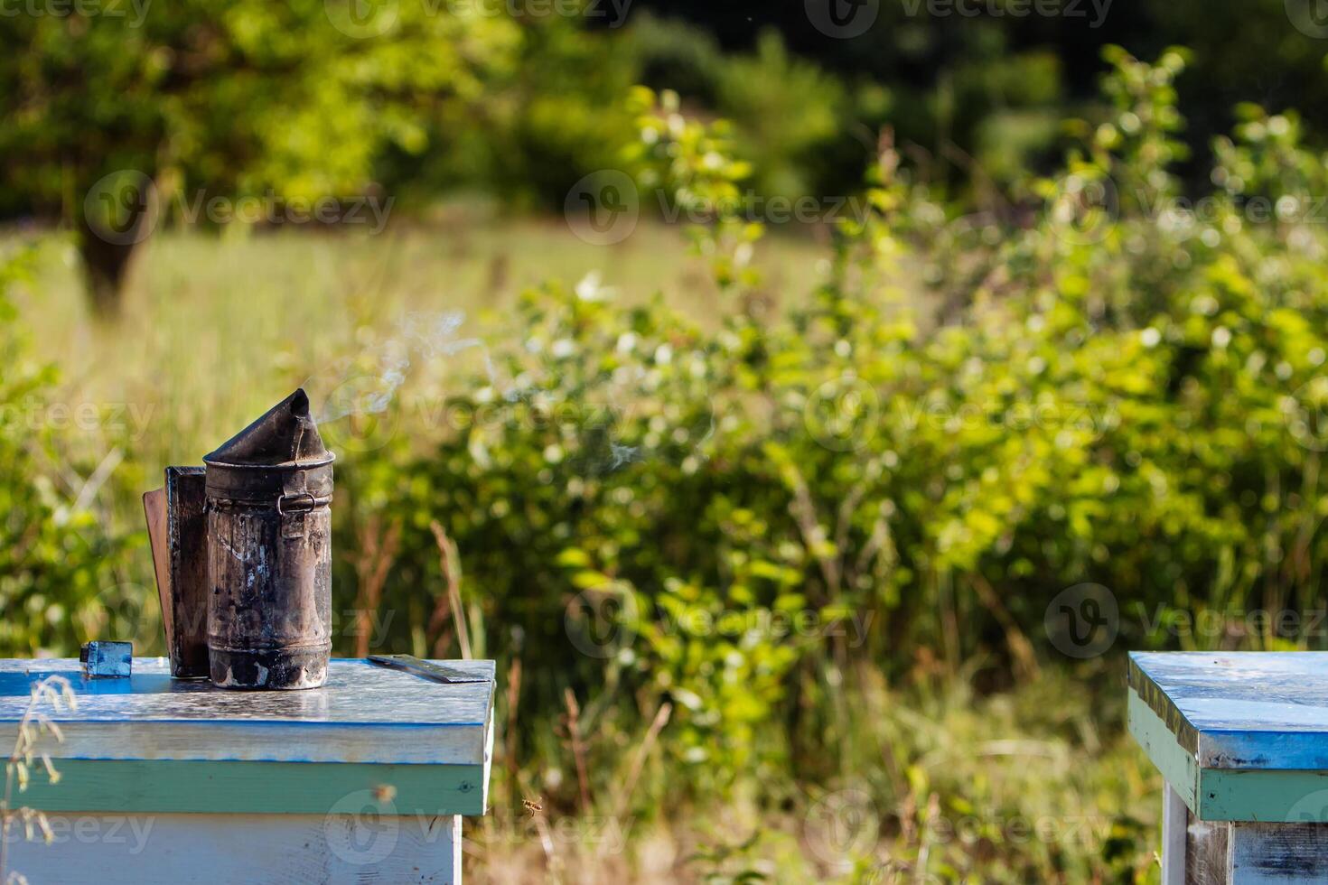 Old bee smoker. Beekeeping tool. Beekeeper inspecting bee hive. photo