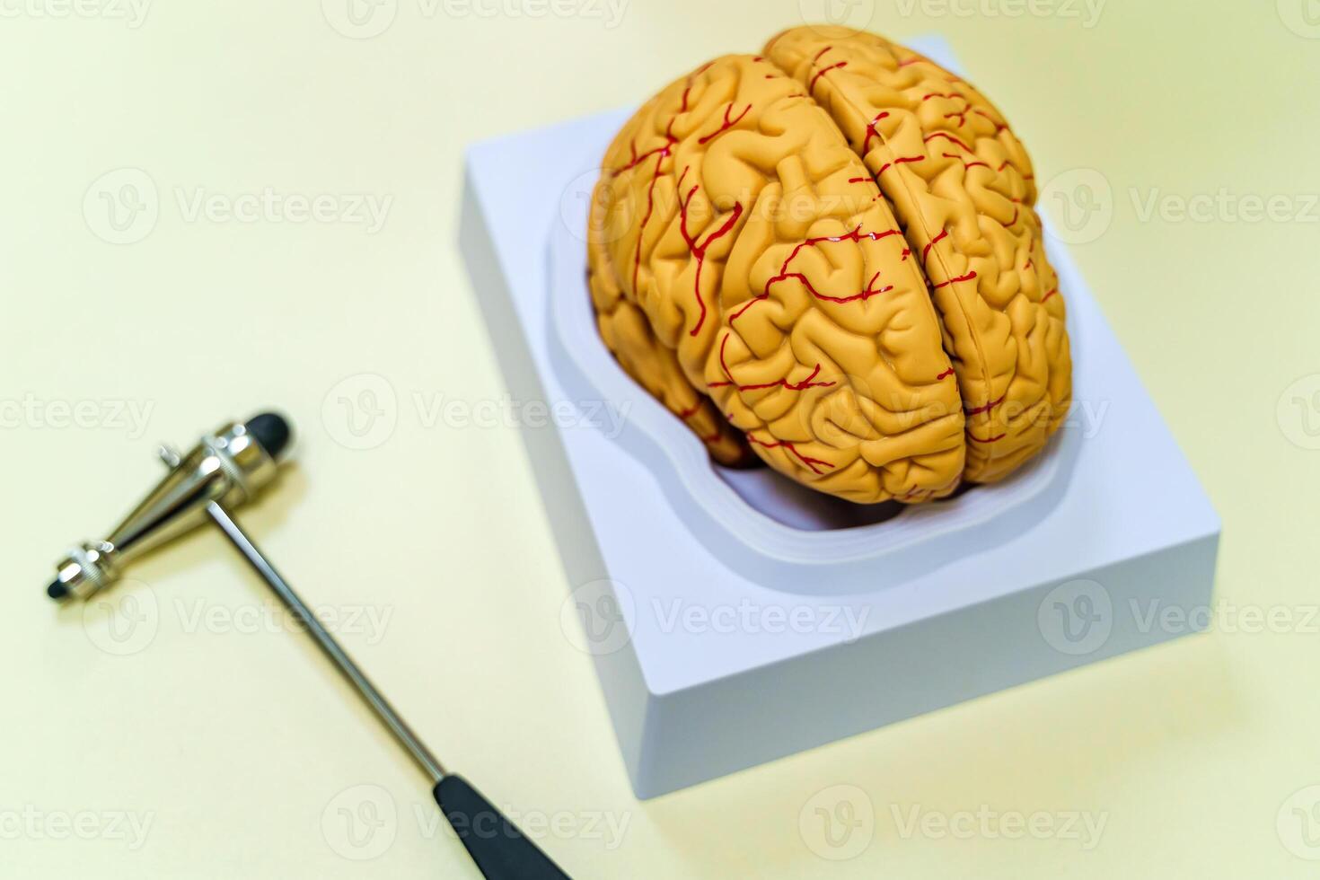 Brain model on the table. Neurosurgery concept. Neurosurgery hummer. photo