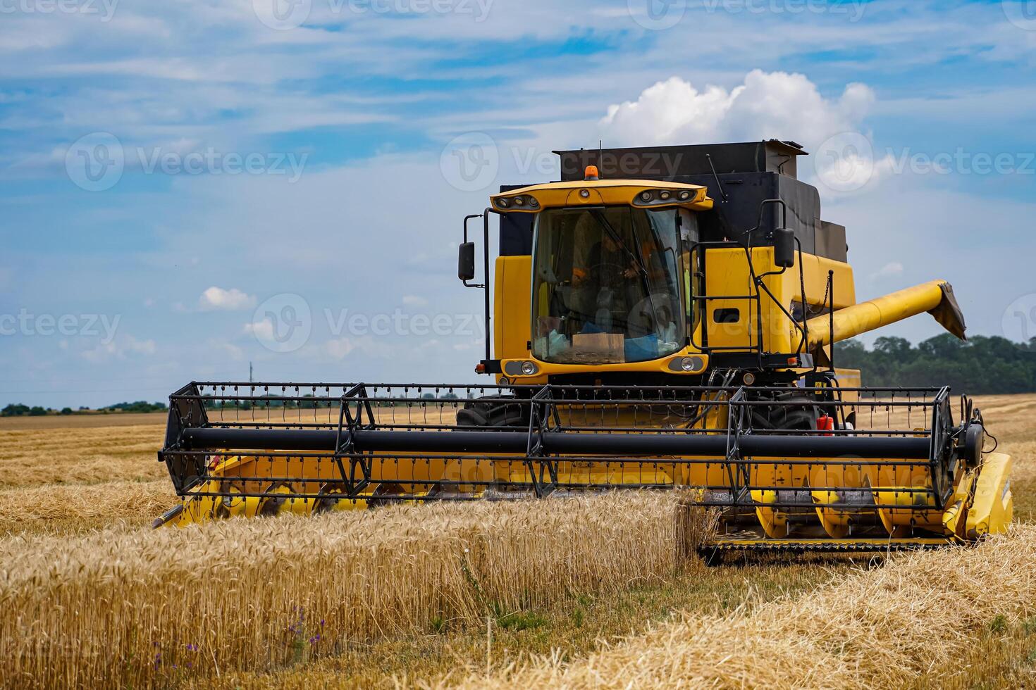 Yellow combine agricultural farming. Summer harvesting by big combine. photo