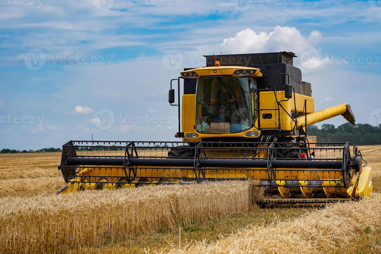 Yellow combine agricultural farming. Summer harvesting by big combine. photo