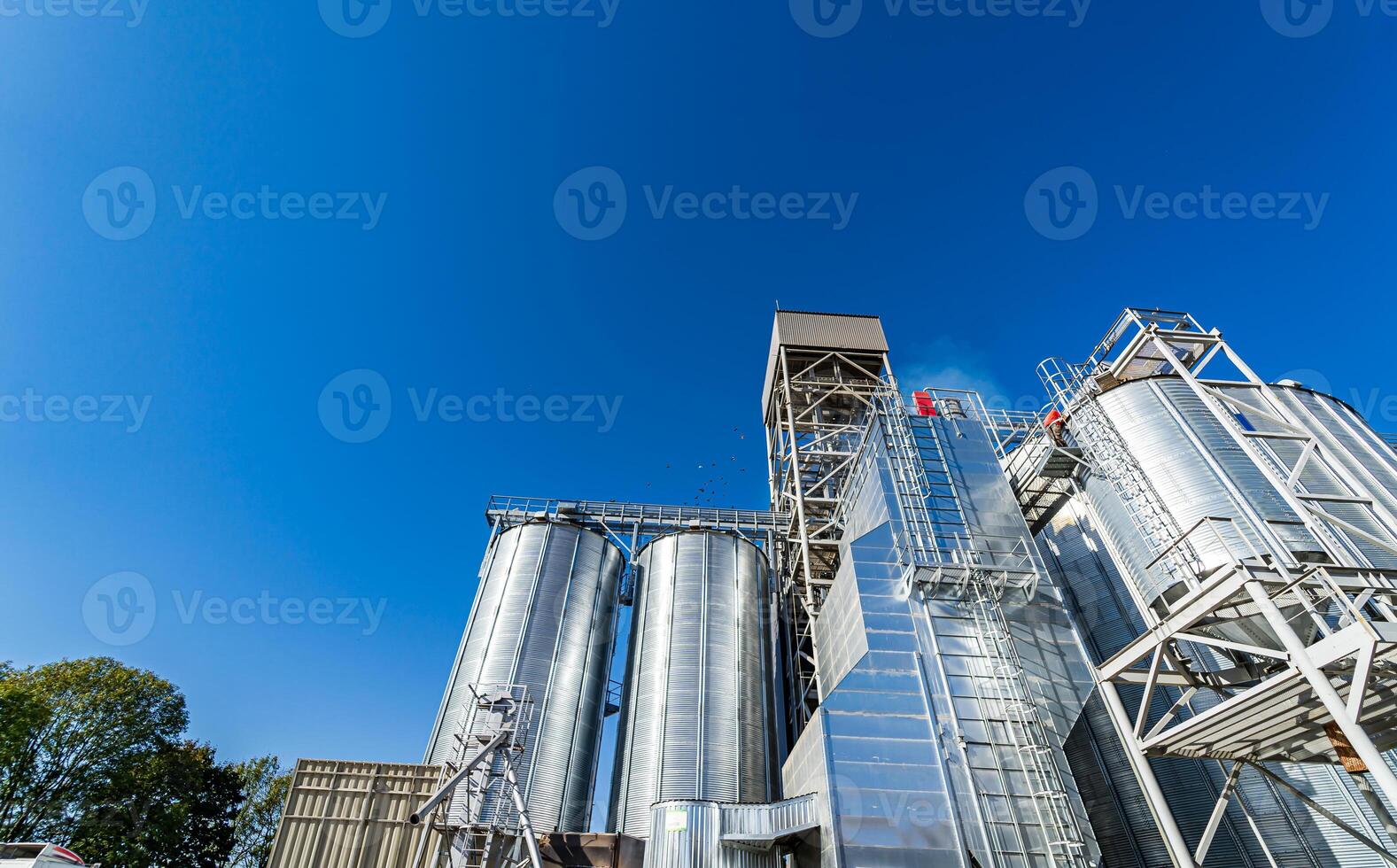 Full length view of the tanks and agricultural silos of grain elevator storage. Loading facility building exterior. View from below photo