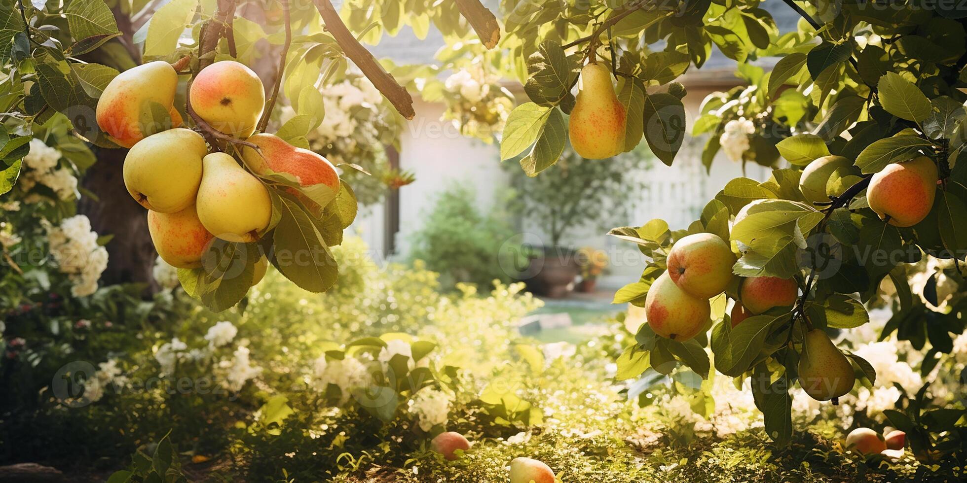 AI generated Ripe sweet pears growing on a pear tree in the garden. Close-up of pears and pear trees in sunlight photo