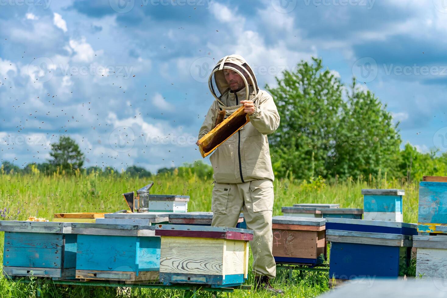 lleno longitud ver de el apicultor trabajando en paisajes con confidente expresión. agrario natural verano panales concepto foto