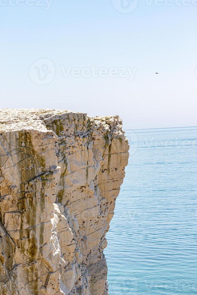 Majestic cliff over calm blue sea with clear sky and a distant bird in flight. photo