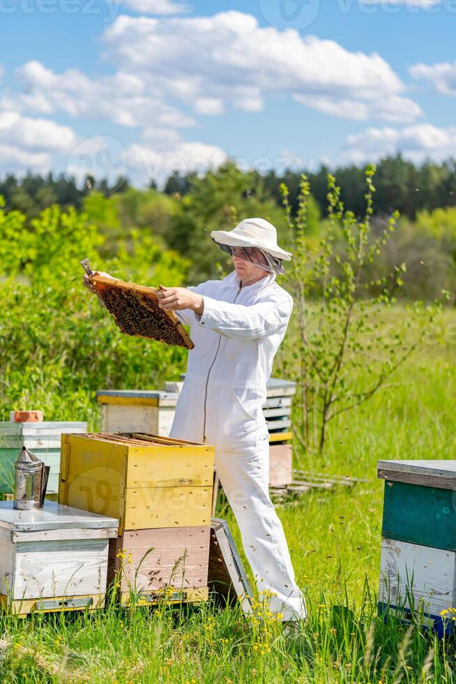 apicultor trabajos con panal lleno de abejas, en protector uniforme. hombre trabajando en un pequeño colmenar granja, consiguiendo panal desde el de madera Colmena. apicultura. experiencia transferir concepto foto