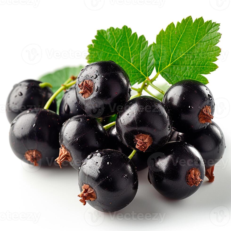 AI generated Black currant berries on a white isolated background - AI generated image photo