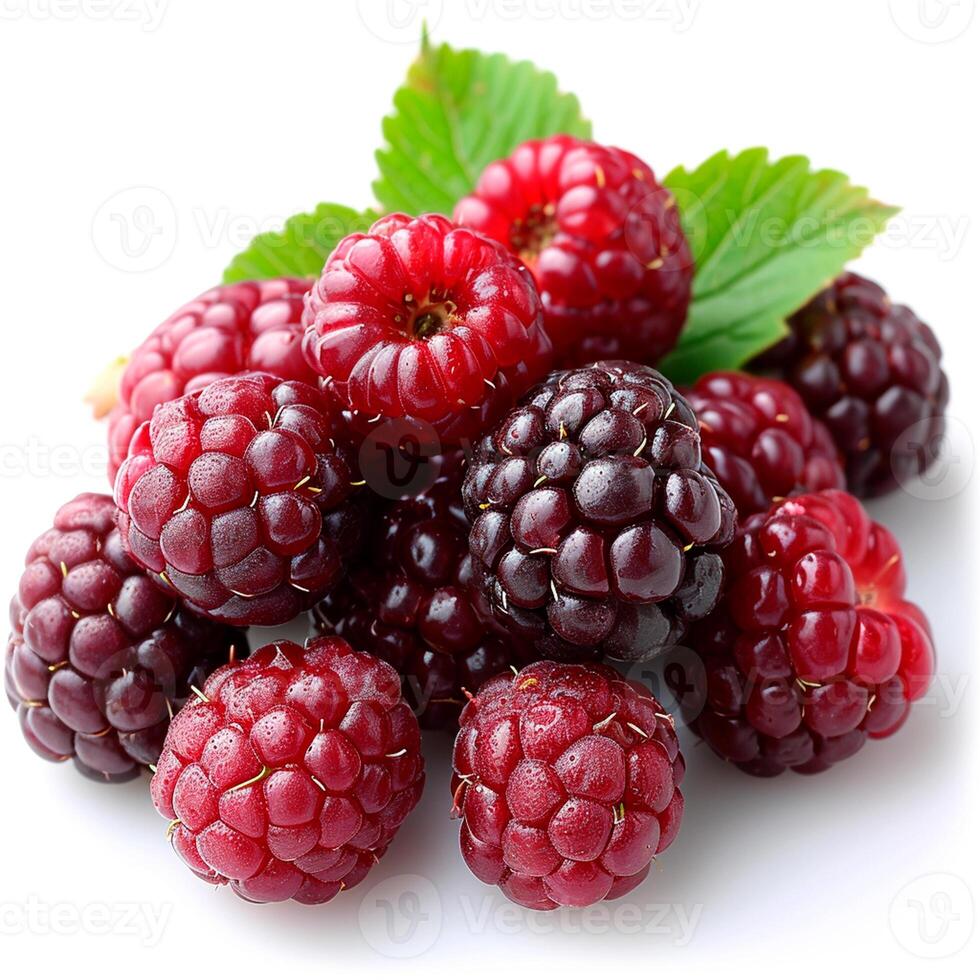 AI generated Ripe and tasty black mulberries on a white isolated background - AI generated image photo