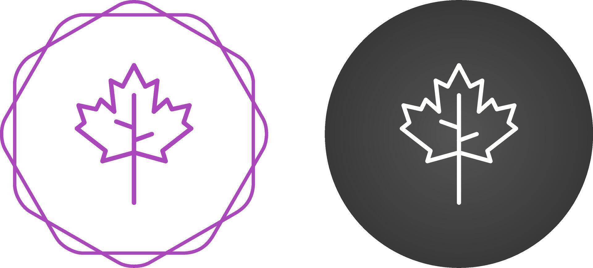 Maple leaf Vector Icon