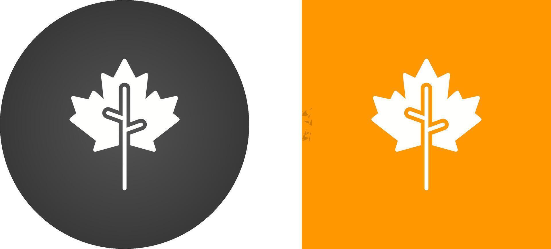 Maple leaf Vector Icon