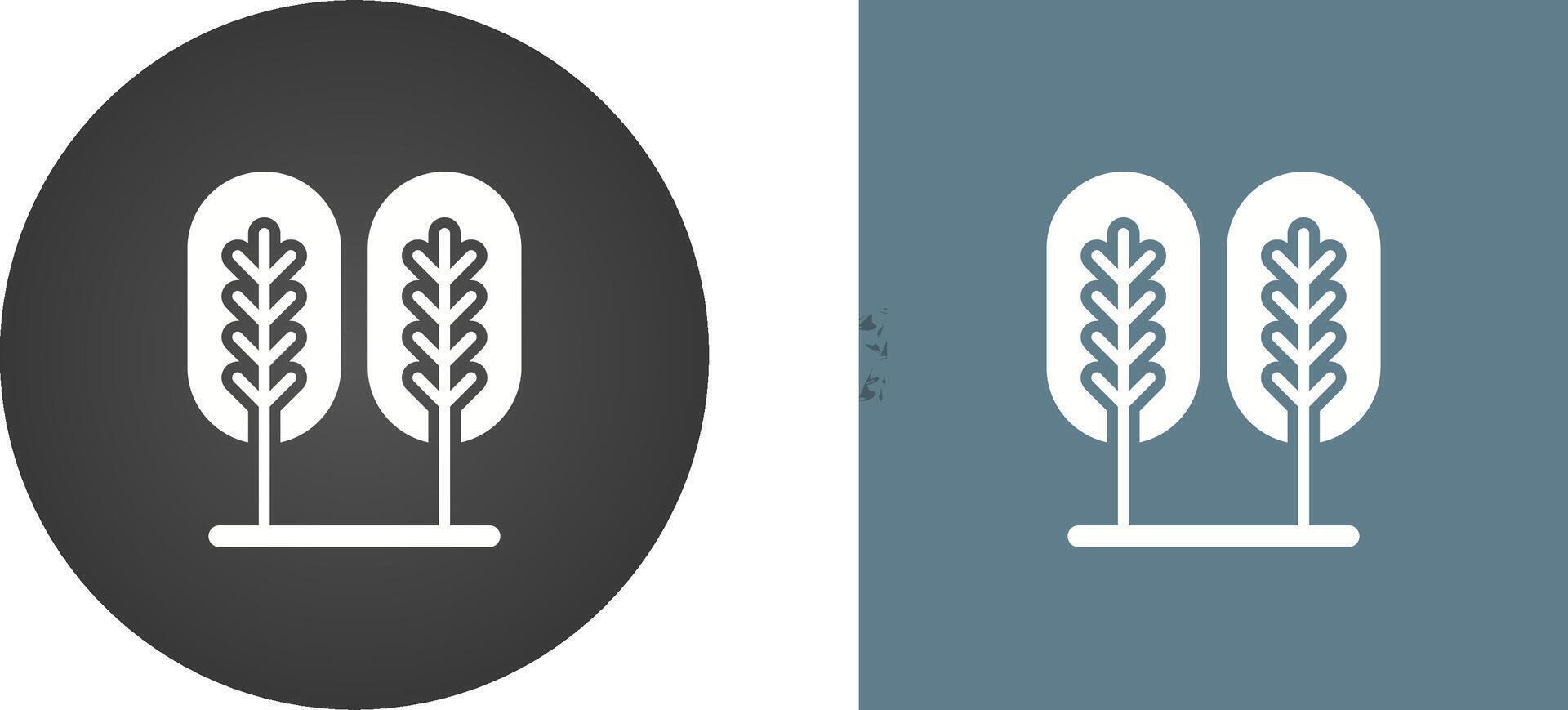 Birch tree Vector Icon