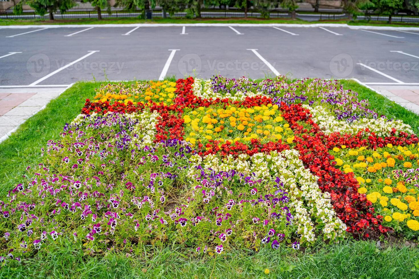 Summer floral gardening. Beautiful colorful flowers on the field. photo
