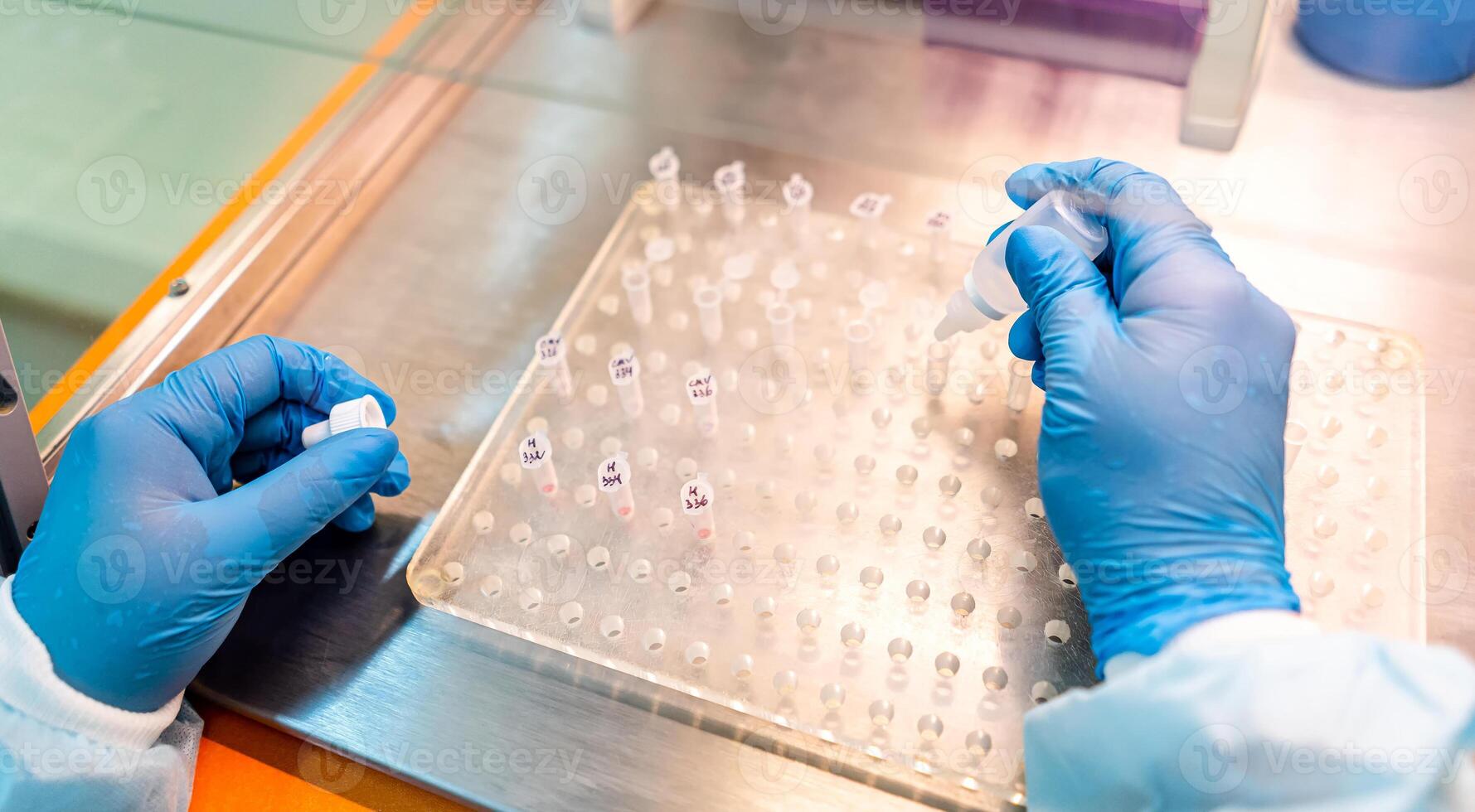 Testing in laboratory. Chemical research. Prevention. Pneumonia diagnosing. COVID-19 and coronavirus identification. Pandemic. Hands in gloves and medicine dropper. photo