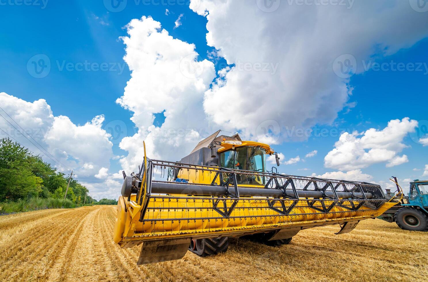 Grain harvesting combine in a sunny day. Yellow field with grain. Agricultural technic works in field. photo