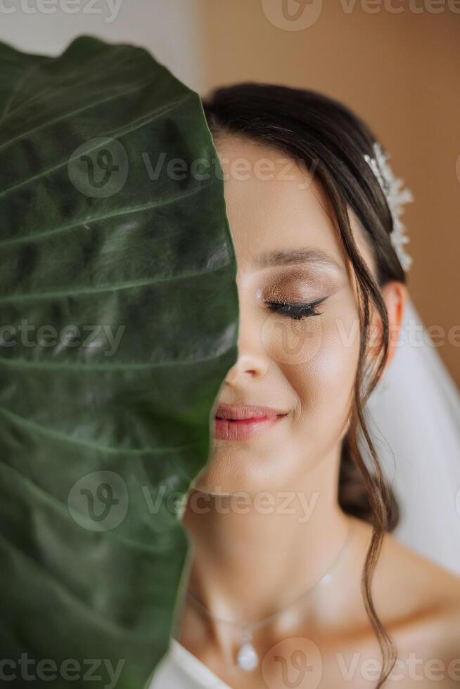 Portrait of an elegant girl in a white dress that covers the leaves of her face. Portrait of a young woman holding a green flower leaf on a colored background. photo