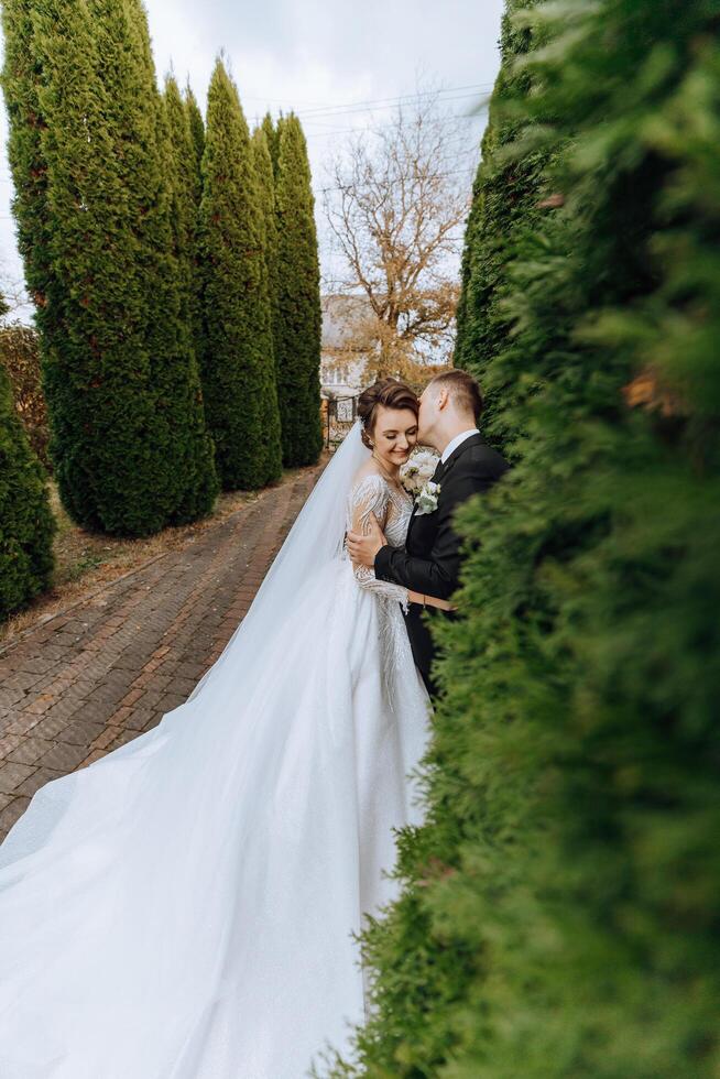 un joven novia y novio tiernamente abrazo en el rayos de el otoño Dom. oferta y hermosa joven niña novia. un hombre Besos su amado. en contra el antecedentes de un hermosa jardín foto