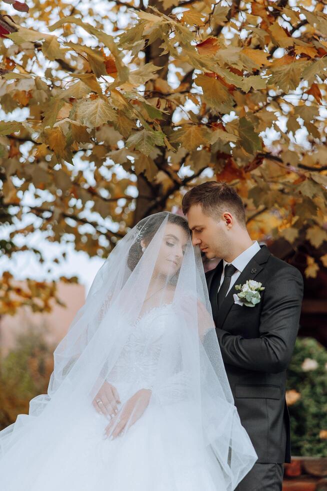 A young bride and groom tenderly embrace in the rays of the autumn sun. Tender and beautiful young girl bride. A man kisses his beloved. Against the background of a beautiful garden photo