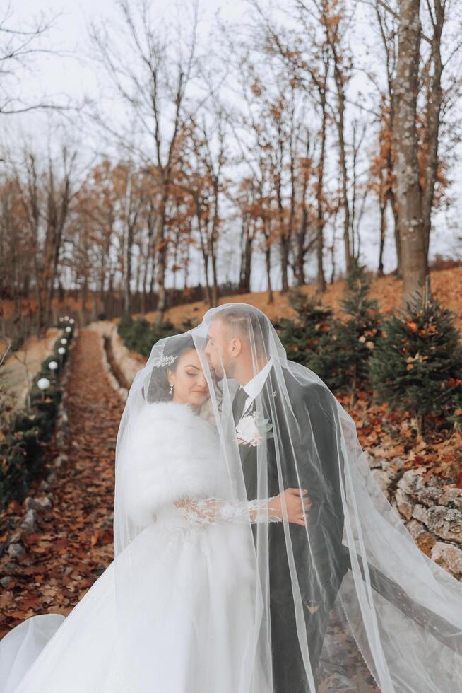 Wedding couple on a walk in the autumn park. The bride in a beautiful white dress. Love and relationship concept. Groom and bride in nature outdoors photo