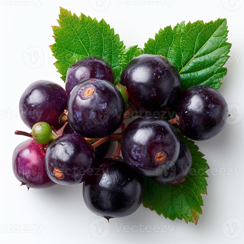 AI generated Black currant berries on a white isolated background - AI generated image photo