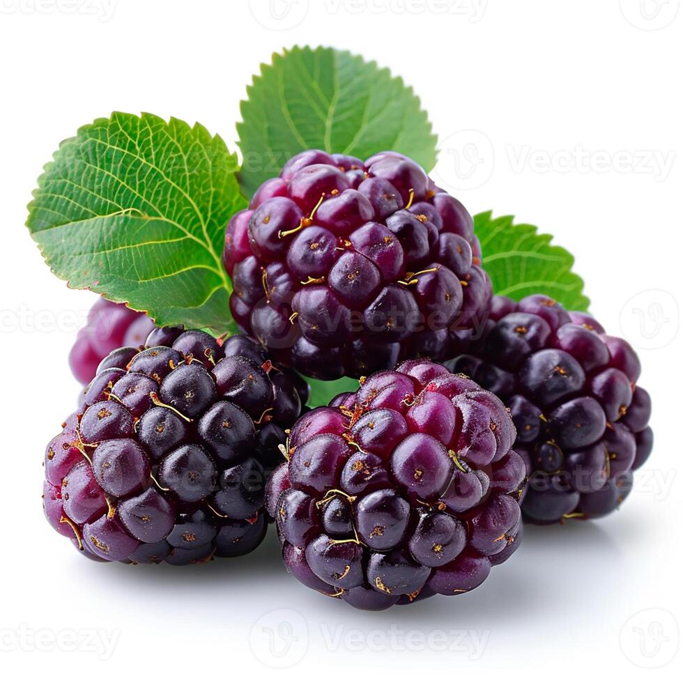 AI generated Ripe and tasty black mulberries on a white isolated background - AI generated image photo