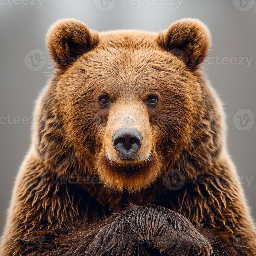 AI generated Brown bear, king of the forest - AI generated image photo